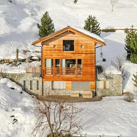 Tigers Nest In Swiss Alps Appartement